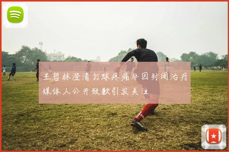 王哲林澄清打球疼痛非因封闭治疗媒体人公开致歉引发关注