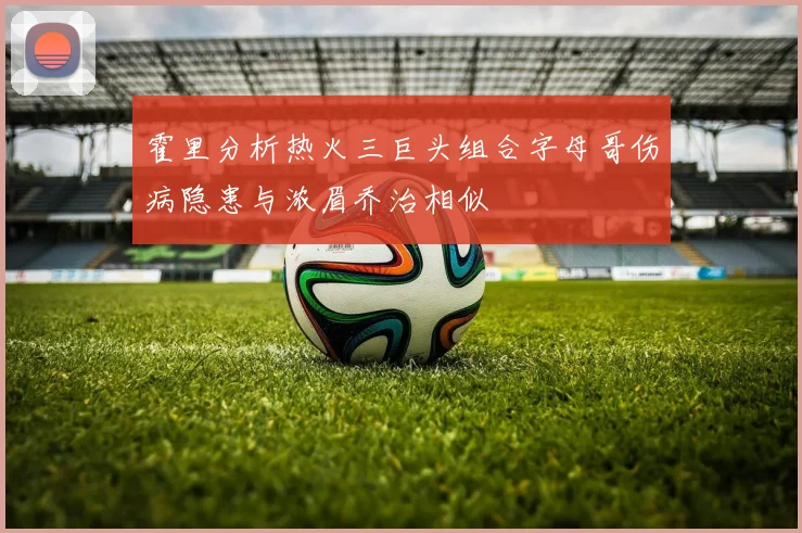 霍里分析热火三巨头组合字母哥伤病隐患与浓眉乔治相似