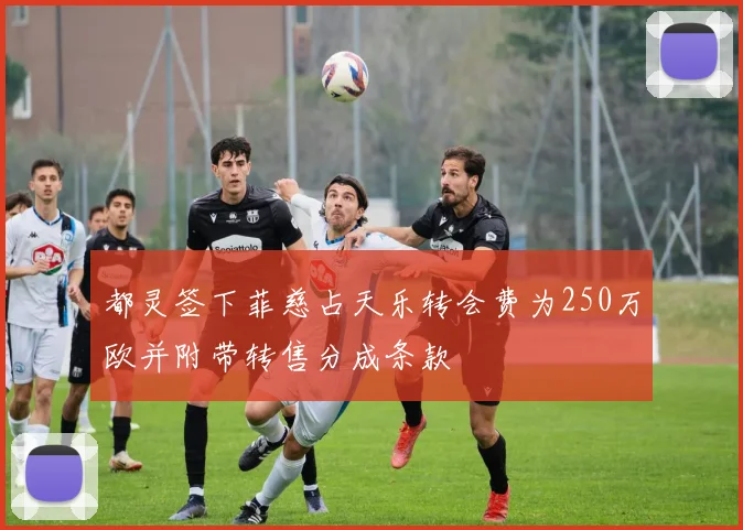 都灵签下菲慈占天乐转会费为250万欧并附带转售分成条款